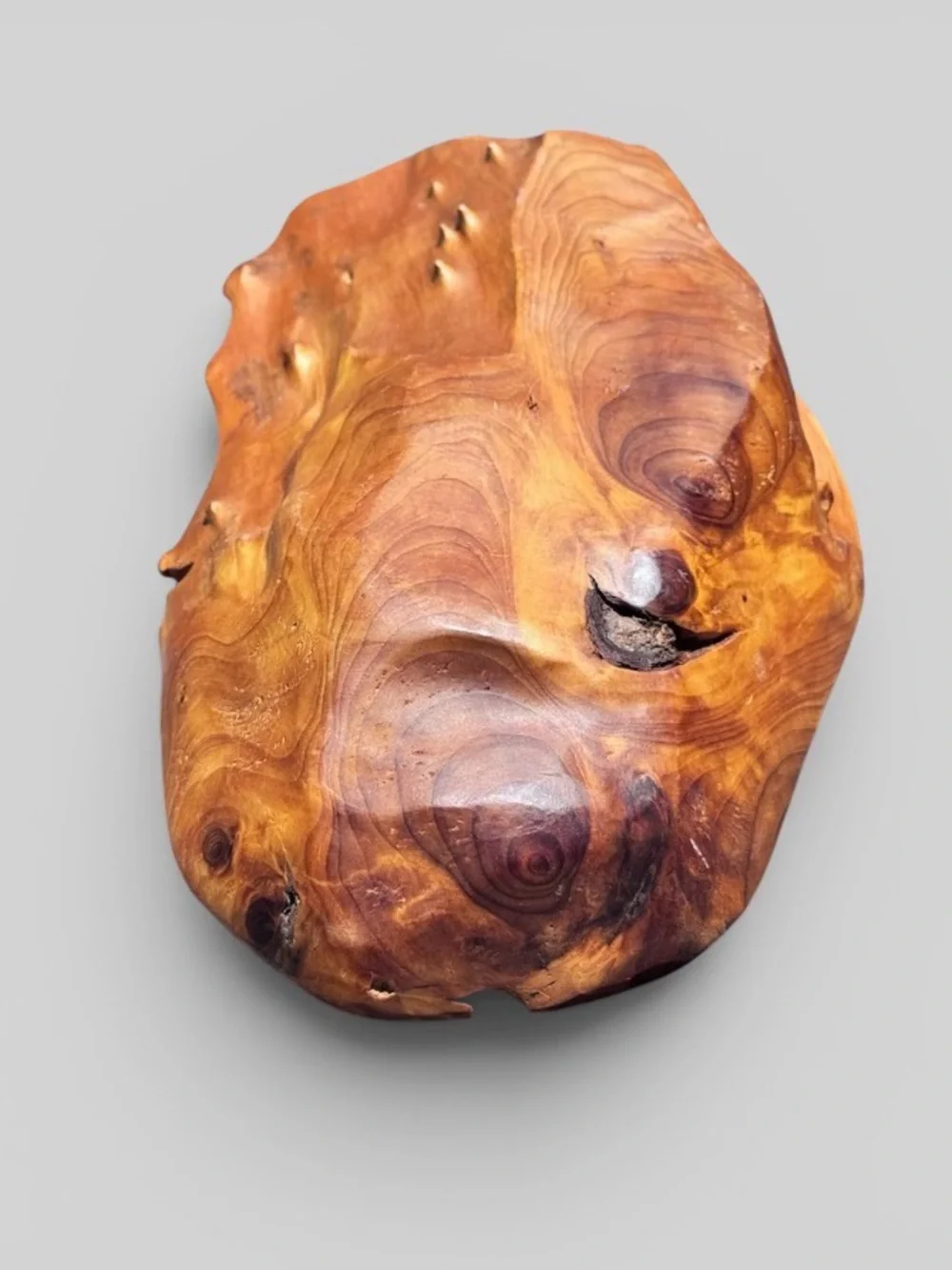 Hand Carved Solid Wood Catchall Bowl Organic Freeform Tray